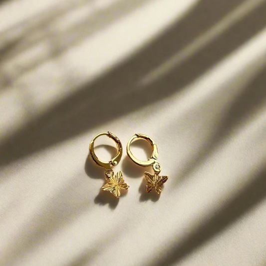 Papillon Hoops